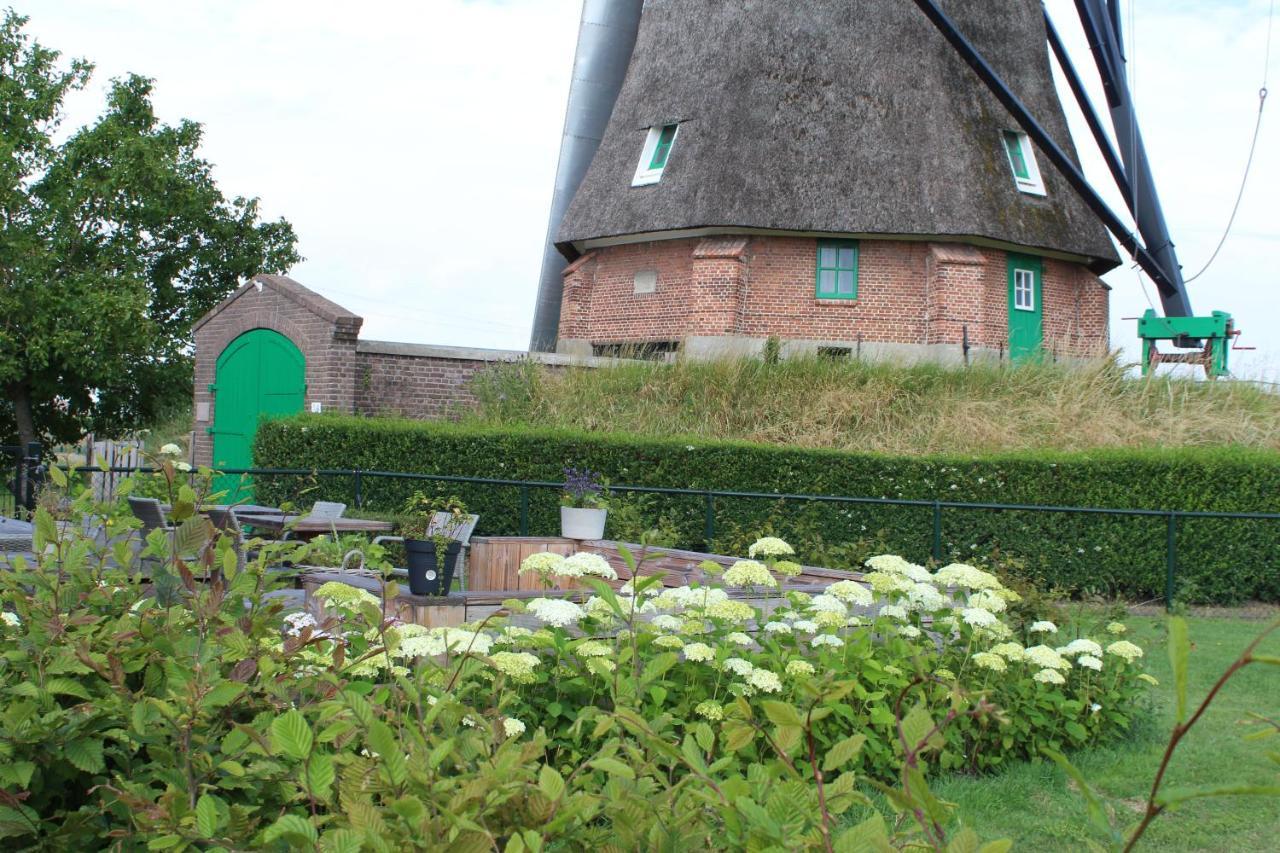Bij Molen De Blazekop, Rustig En Landelijk Ovezande Exteriör bild