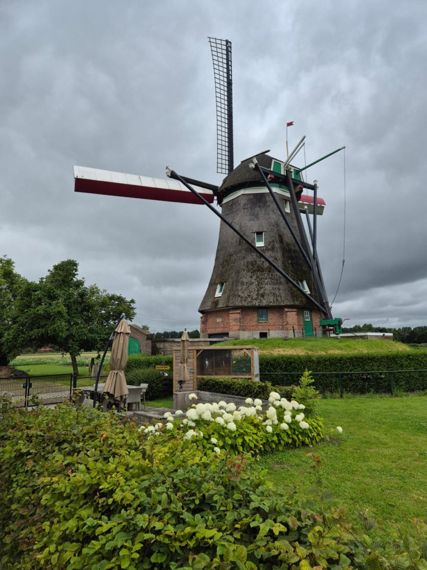 Bij Molen De Blazekop, Rustig En Landelijk Ovezande Exteriör bild